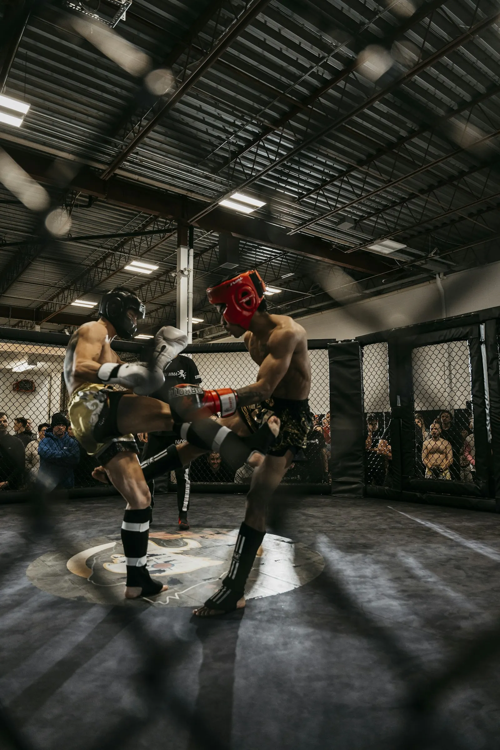 Kafes içinde sparring yapan iki sporcu